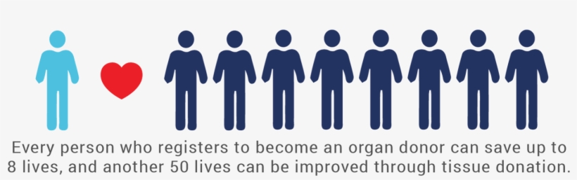 Slide9 - Organ Donation Saves Live, transparent png download