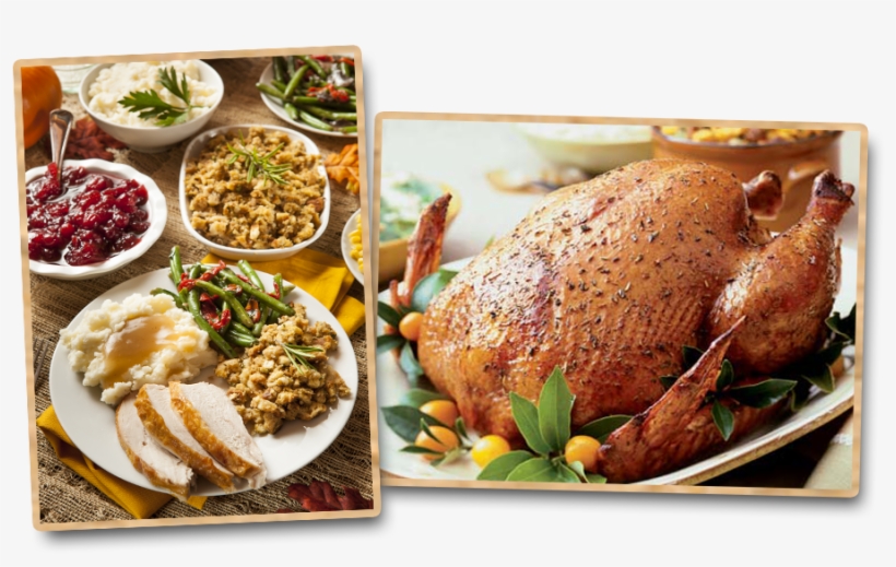 Turkey Pics - Thanksgiving Cookbook: Blank Recipe Cookbook, 7 X 10,, transparent png download
