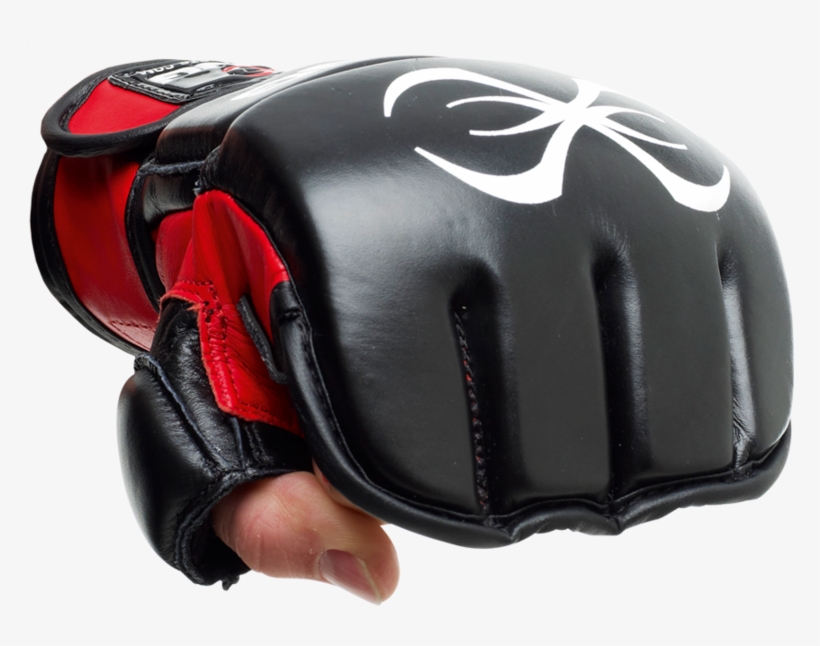 Aquila Hybrid Training Glove - Sting Aquila Hybrid Training Gloves S, transparent png download