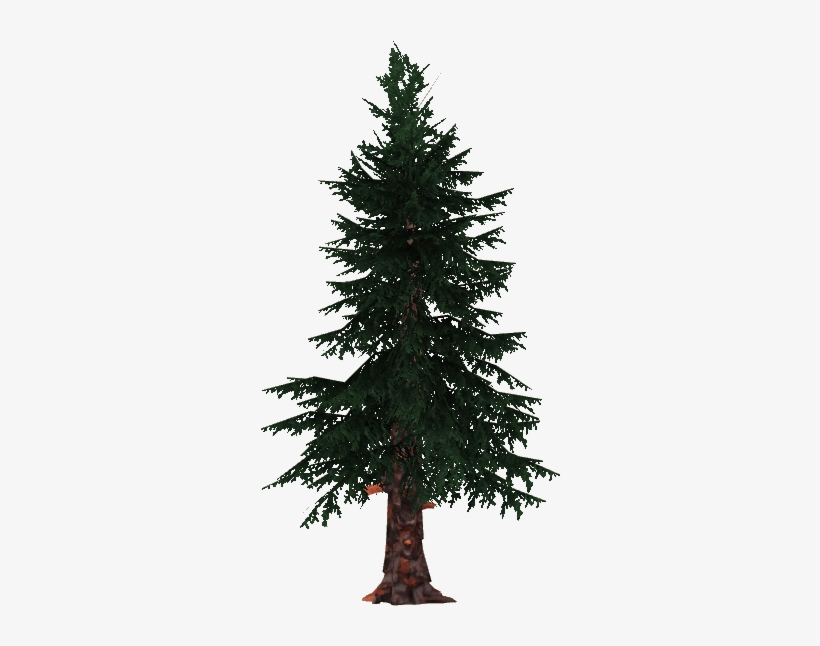 Spruce - Pines Png, transparent png download