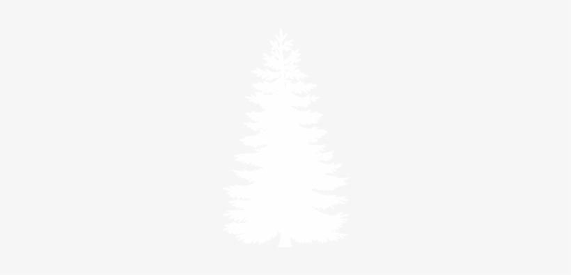 Carpathian Spruce - Disc Golf Stupid Tree, transparent png download
