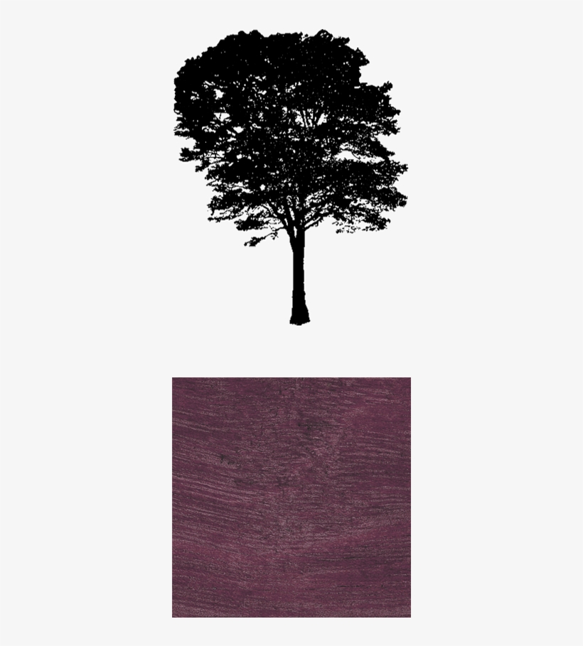 Amw101 - Purple Heart Services Foundation, transparent png download