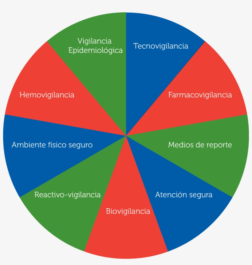 Programa Seguridad Del Paciente - Patient, transparent png download
