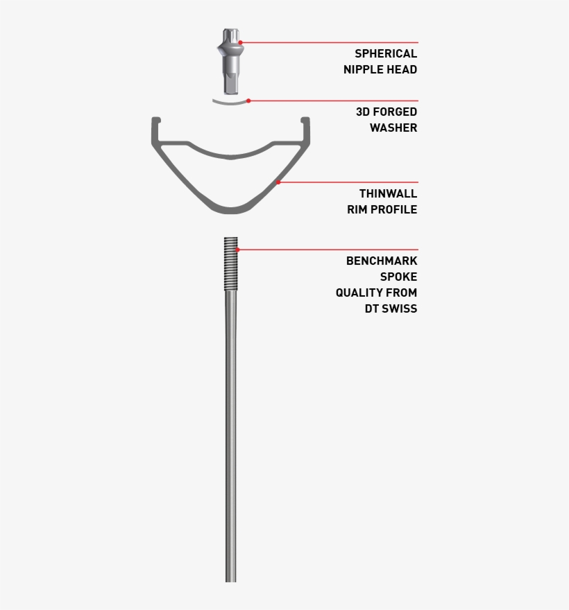 The Washer's Shape Also Acts As A Ball Joint And Automatically - Dt Pro Lock Squorx Pro Head Nipple, transparent png download