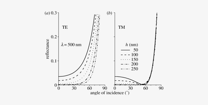 Dependence Of The Reflectance On Polarization And Angle - Diagram, transparent png download