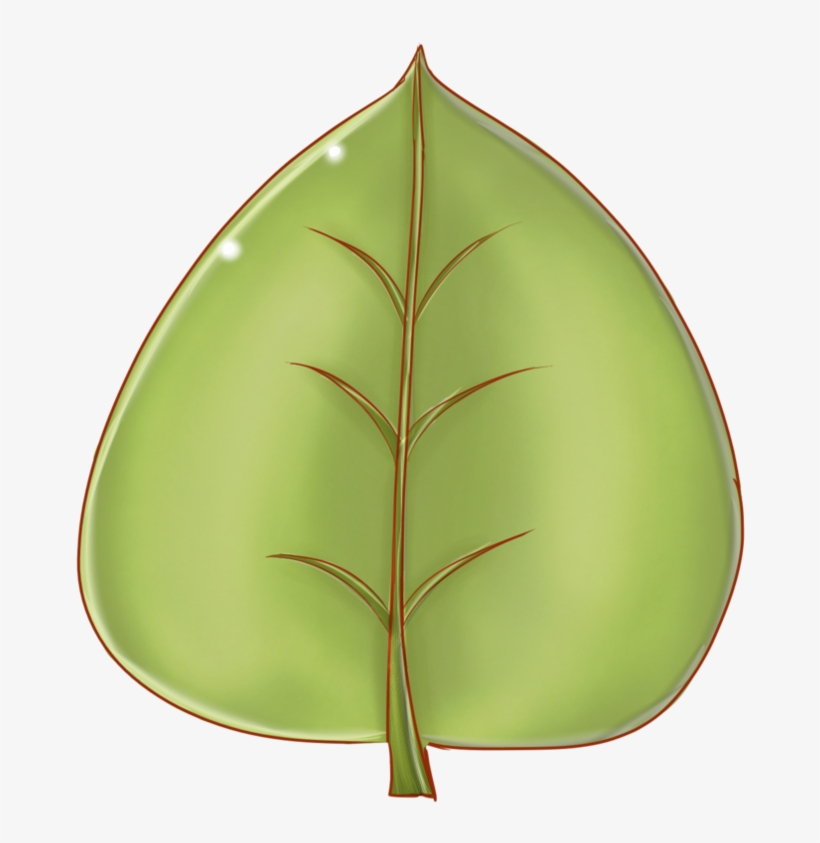 Leaf 4 By Cartproductions On Clipart Library - Leaf Cartoon Png, transparent png download
