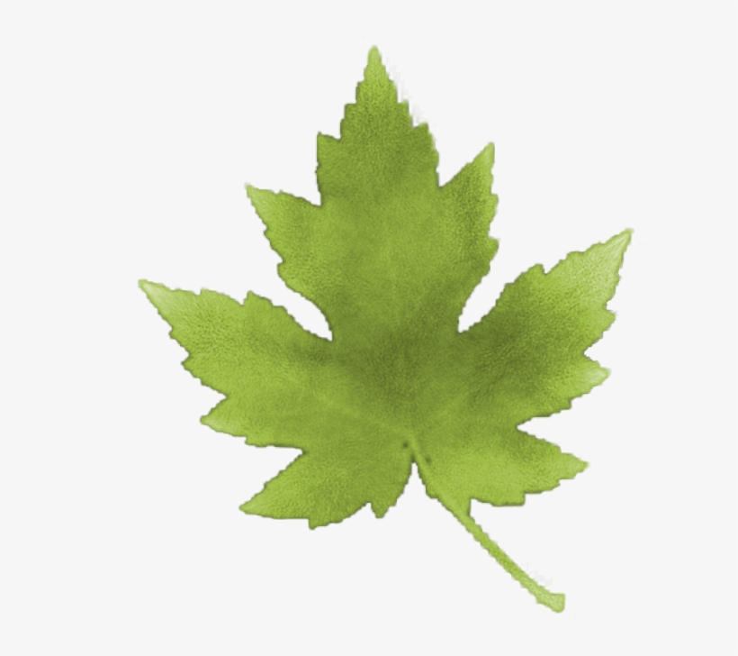 Фото, Автор Damahona На Яндекс - Photography, transparent png download
