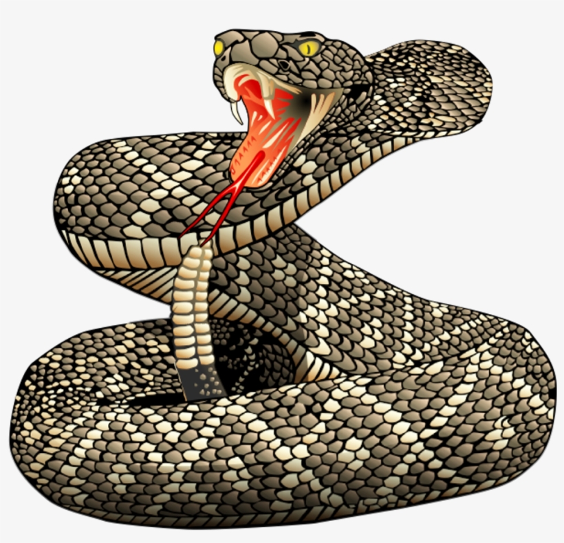 Rattle Snakes, transparent png download