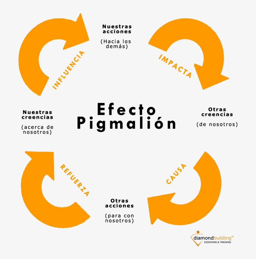 He Summarized - Efecto Pigmalion, transparent png download
