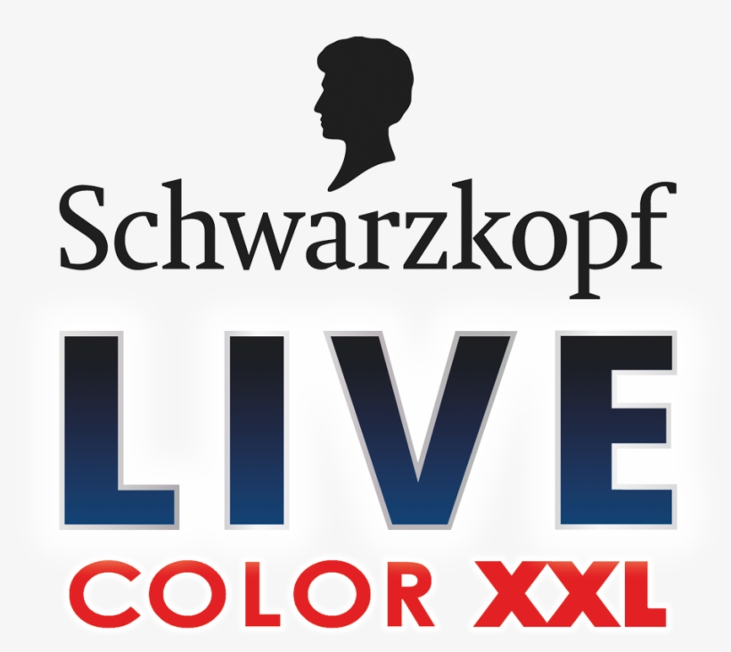 Schwarzkopff - Big Brother, transparent png download