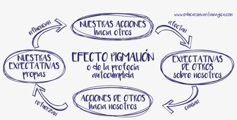 Educar Sin Varita Mágica - Cual Es El Efecto Pigmalión, transparent png download