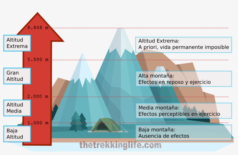 Altitud Y Efectos En El Organismo - Baja Media Y Alta Montaña, transparent png download