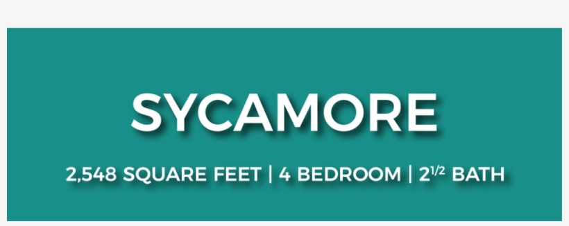 Sycamore Nofp-01 - I M In Love With Wonder Woman, transparent png download