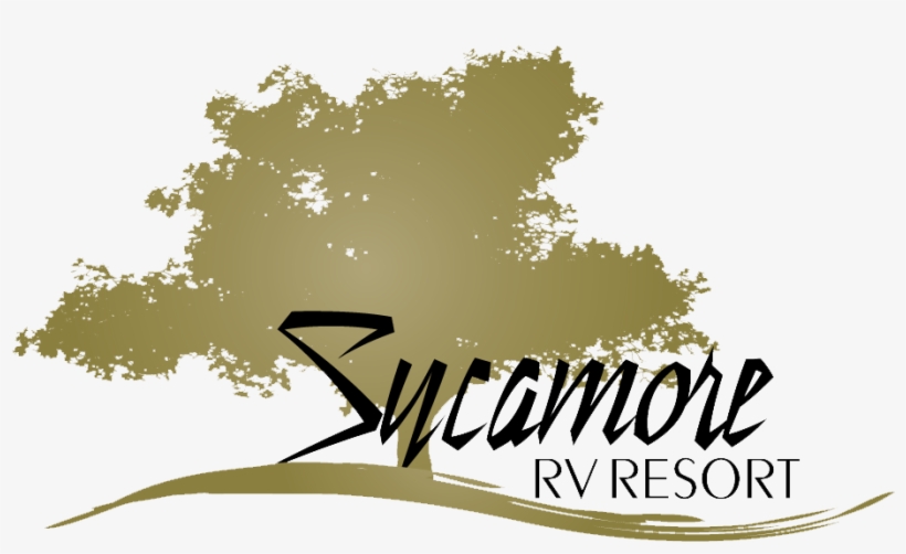 Sycamore Rv Resort - Resort, transparent png download