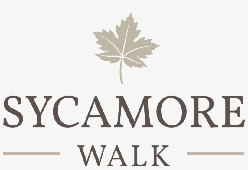 Sycamore Walk, Clitheroe - Soy Dificil De Enamorar, transparent png download