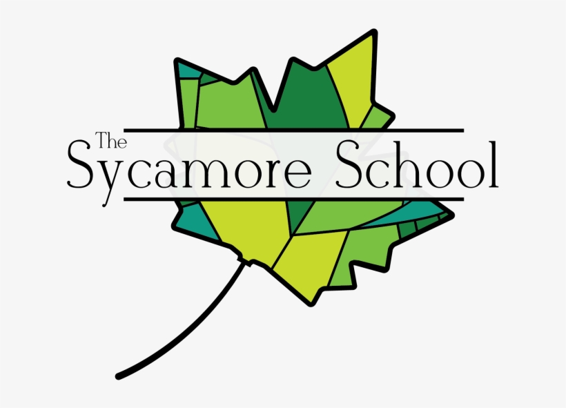 The Sycamore School, transparent png download