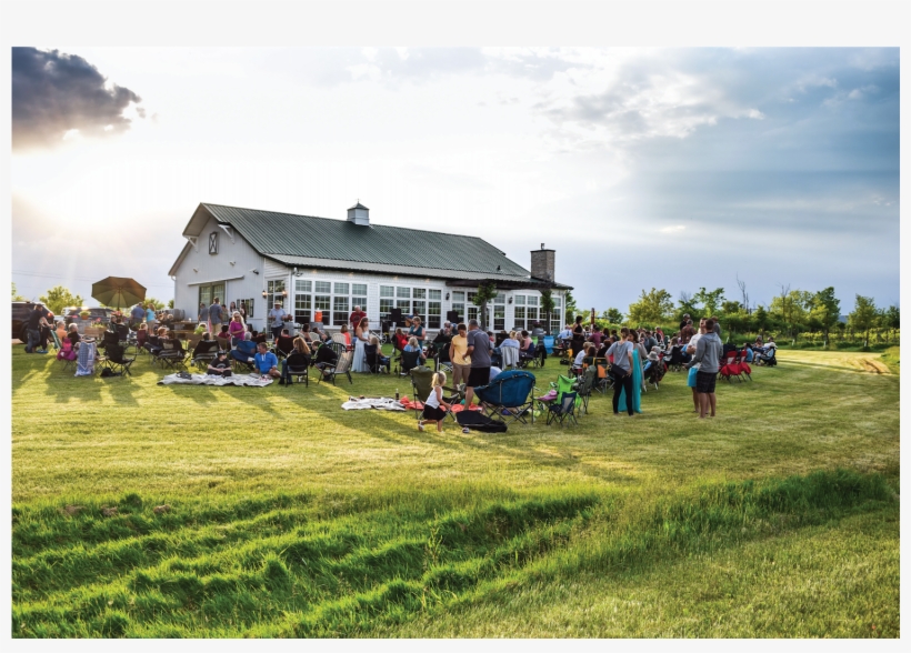 Ledgestone Vineyards, transparent png download
