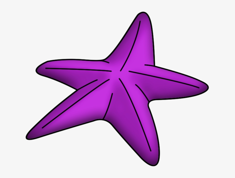 Ampliar Esta Imagen - Starfish, transparent png download