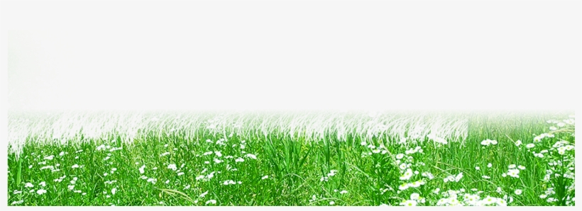 Personal Computer Music - Spring Music Png, transparent png download