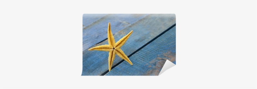 Estrella De Mar Amarilla Y Madera Azul Wall Mural • - Blue, transparent png download