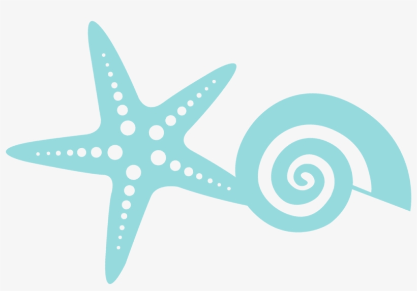 Expo Cásate En La Playa 2016 - Estrella De Mar Invitacion, transparent png download