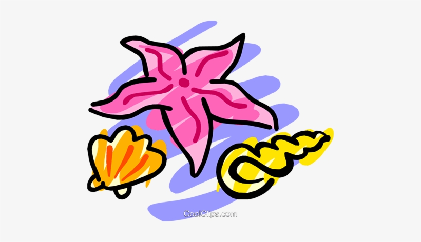 Estrella De Mar Libres De Derechos Ilustraciones De, transparent png download