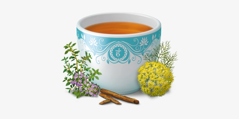 Throat Comfort - Yogi Tea Throat Comfort | Westminsterhealthstore.com, transparent png download