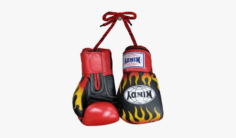Muay Thai Boxing Gloves - Pattaya, transparent png download