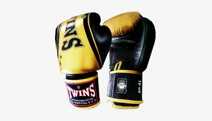 Twins Special Leather Fancy Gloves - Twins Special Boxing Gloves Fbgv Tw4 Silver, transparent png download