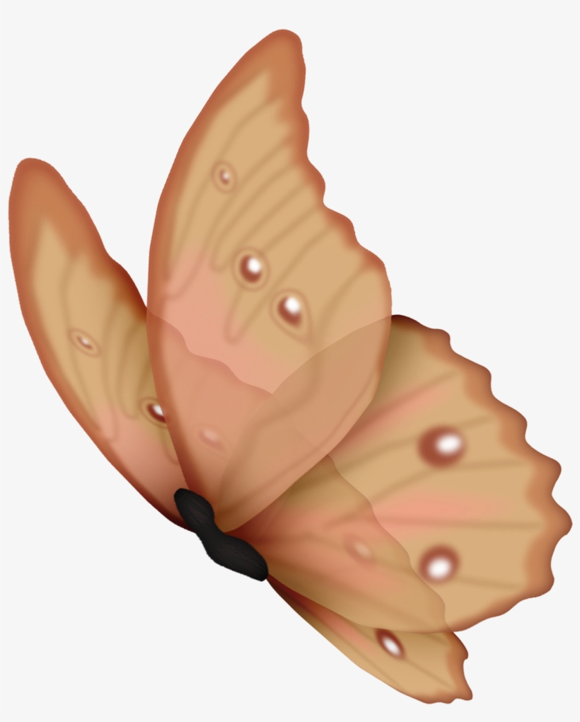 Mariposas Al Viento - Frames Png De Libelulas, transparent png download