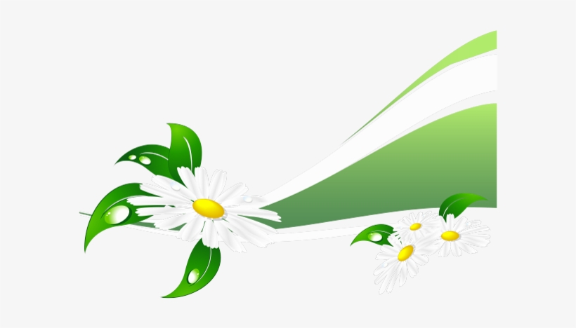 Ромашка Полевая, Chamomile Field, Ромашка Польова, - Flores De Tinkerbell Png, transparent png download