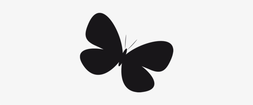 Color De La Superficie - Lepidoptera, transparent png download