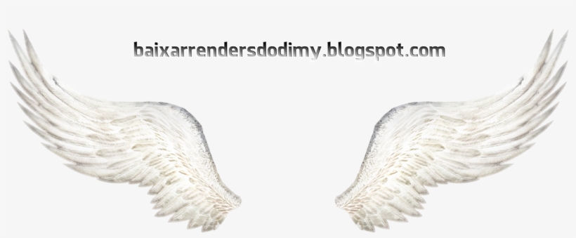 Render Asas De Anjo Rafael Dos Anjos Transparent Png 1309x521 Free Download On Nicepng