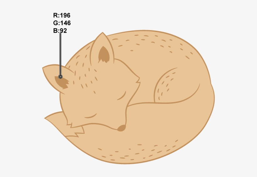 Coloring The Ears And Nose - Hedgehog, transparent png download