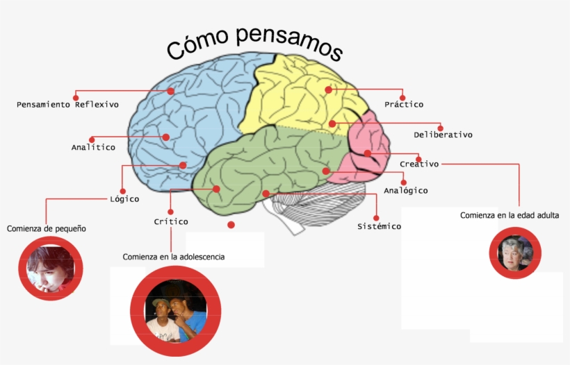 El Pensamiento Creativo - Science Of Human Nature: A Psychology, transparent png download