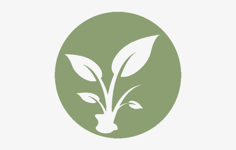 Museum Leaf Icon - Utah State University Eastern, transparent png download