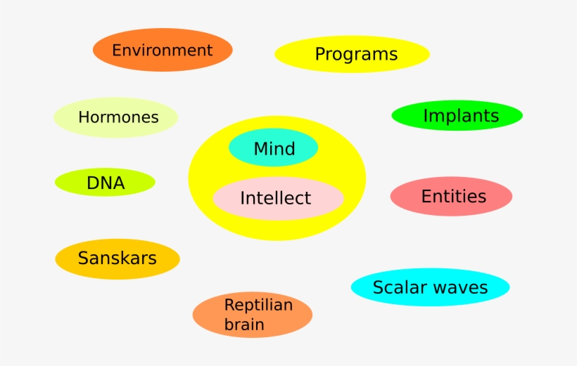 Many Factors Influence Us Constantly, Not Just Our - Circle, transparent png download