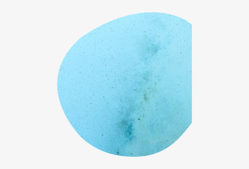 Circle, transparent png download