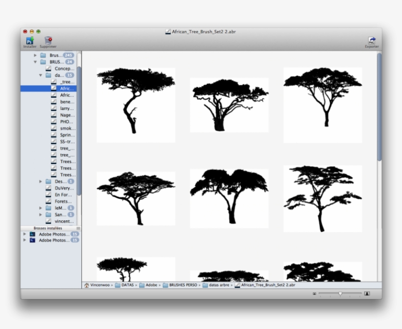 We Can Export Your Brushes In Png If You Want Import - African Tree, transparent png download