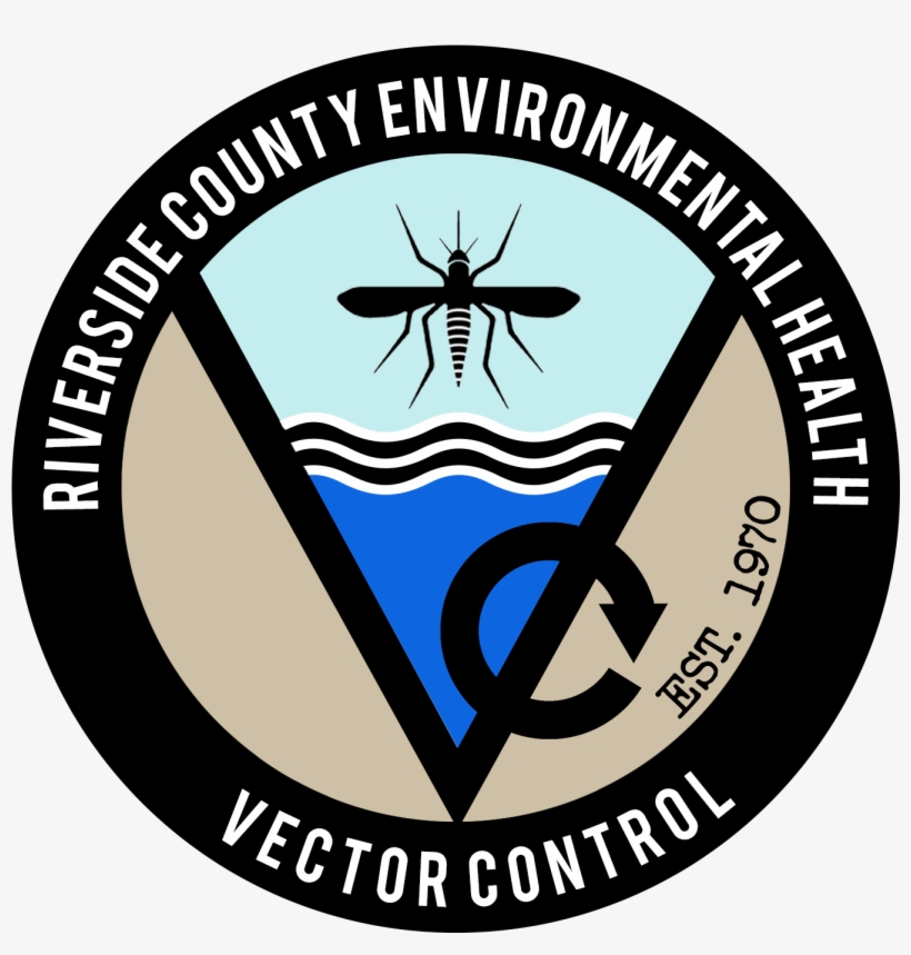 Vector Logo - You Expect From The Vaccines, transparent png download
