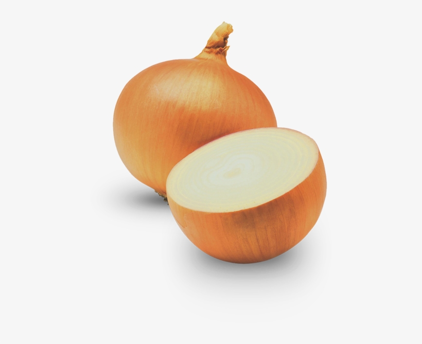 Onion, transparent png download