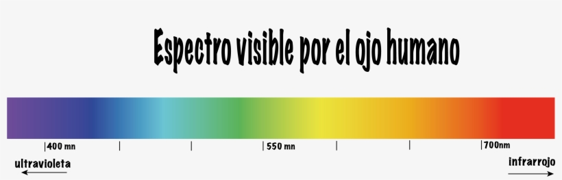 Cada Una De Esas Ondas Tiene Una Longitud De Onda Diferente - Rango De Frecuencias Del Espectro Visible, transparent png download