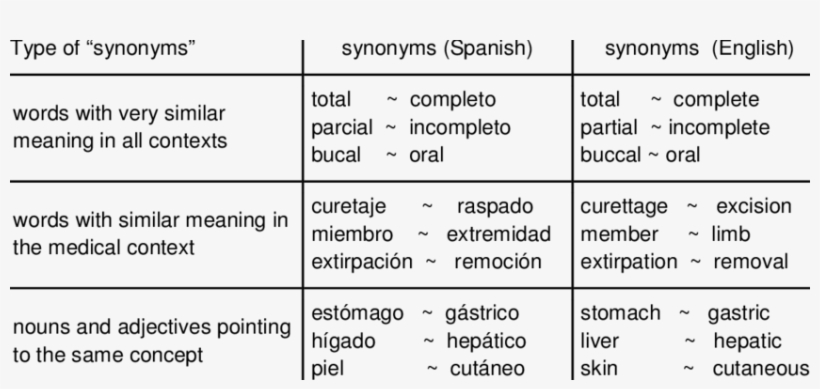 Sample Of Synonyms Found By Our System In Snomed-ct - Sample Pointing System, transparent png download