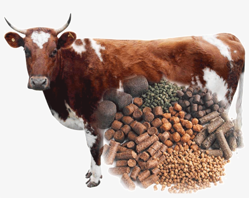 Cattle Feed Pellets - Cattle Feed, transparent png download