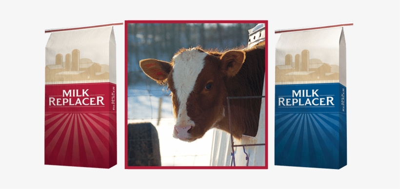 Guaranteed To Deliver 100 Grams Of Igg To Prevent Failure - Witmer's Feed & Grain Inc, transparent png download