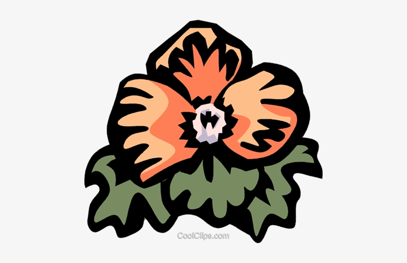 Begonia Royalty Free Vector Clip Art Illustration, transparent png download