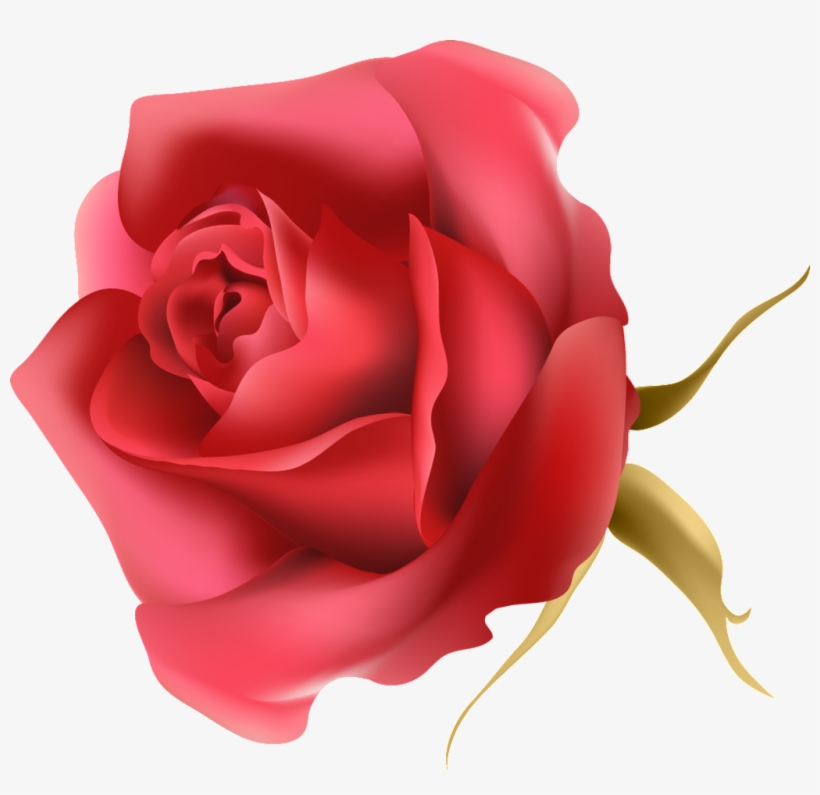 La Rosa Roja Transparente Png Decorativo - Portable Network Graphics, transparent png download