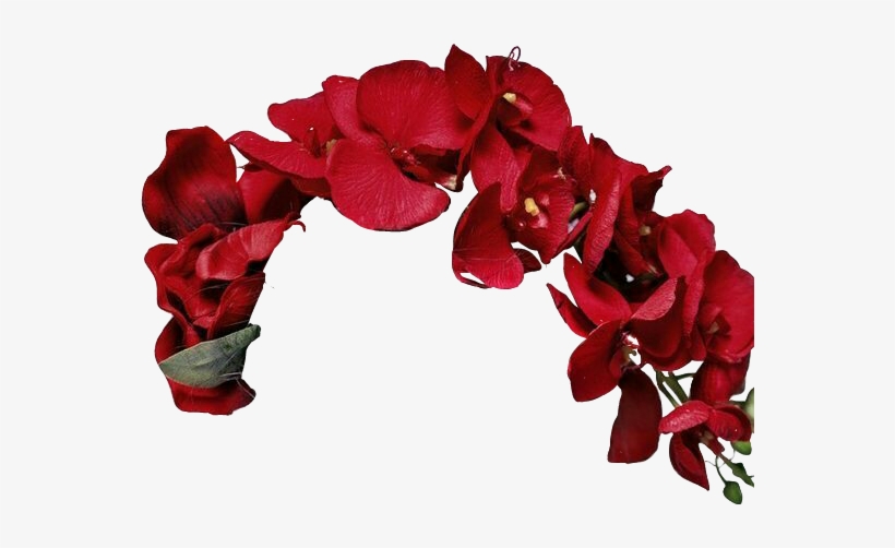 Report Abuse - Cosmetics, transparent png download