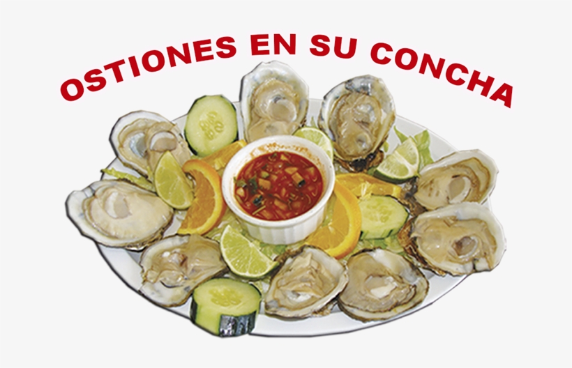 Bienvenidos A Los Lagos Mariscos - Home, transparent png download