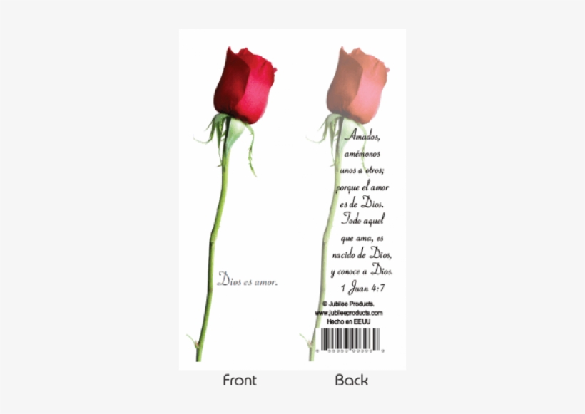 Garden Roses, transparent png download